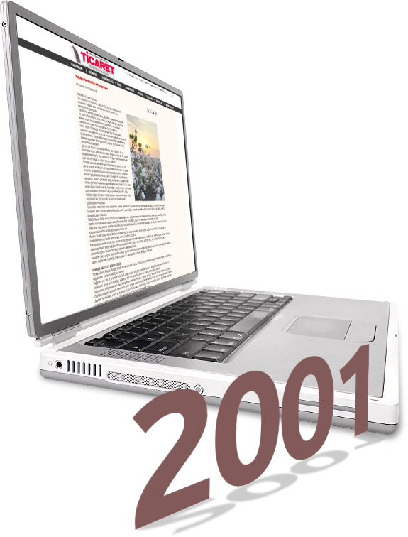 2001 yılı Ticaret Gazetesi web sitesi